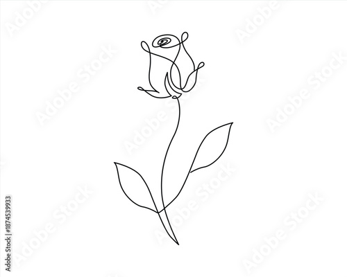 adobe illustrator artwork Rose one Line Art 