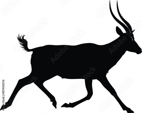 Elegant Antelope Silhouette in Motion
