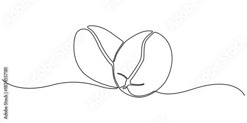 Coffee bean line. Coffe grain seed for cafe. Hand drawn art oneline icon. Seed continuous one line drawing. Hand draw sketch. Black silhouette outline isolated on white background. Vector illustration