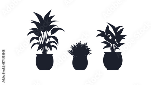 Three potted tropical plants in black silhouette on transparent background