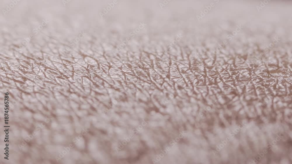 HD video of extreme macro human skin texture showing fine vellus hair ...