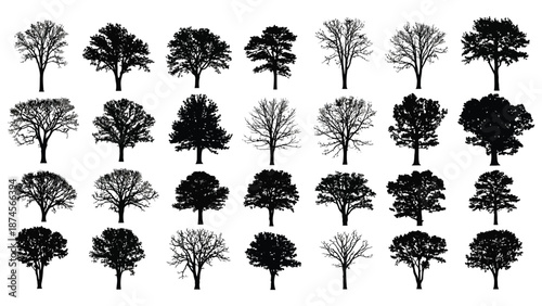 Collection of diverse black and white tree silhouettes showcasing various shapes and seasonal foliage variations
