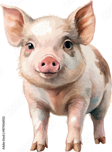 Adorable Pink Pig Farm Animal Watercolor Illustration Isolated on White