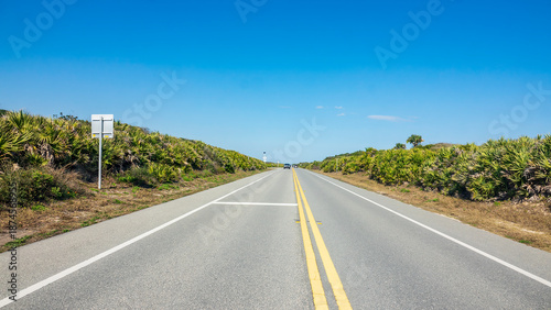Photos Perspective looking north along A1A Scenic and Historic Coastal Byway, part of Florida State Road A1A, with abundant saw palmetto (binomial name: Serenoa repens), in St