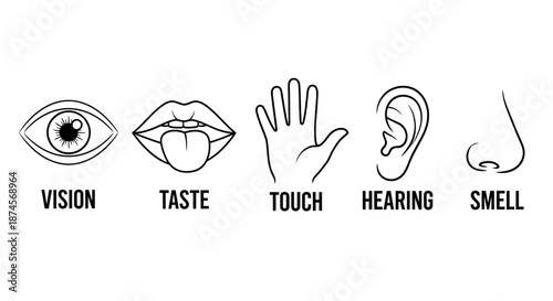 Minimalist vector illustration set depicting the five human senses sight, taste, touch, hearing, and smell. Essential graphic symbols for sensory perception concepts