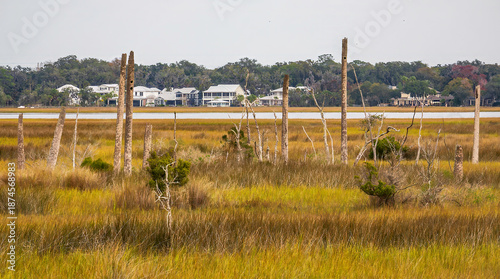 Salt marsh in Castaway Island Preserve near San Pablo River, with rear view of houses along the eastern shore, on an overcast day in Jacksonville, Florida. Coastal habitat and environmental motifs.