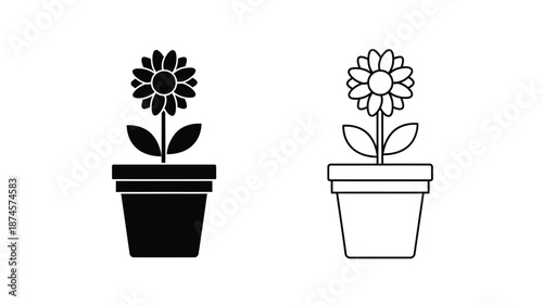Two potted flowers in contrasting styles a striking visual silhouette