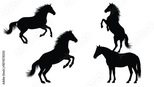 Collection of four dynamic black horse silhouettes showing rearing and standing poses