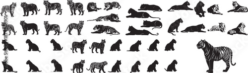 Collection of Black and White Tiger Illustrations and Silhouettes in Various Poses
