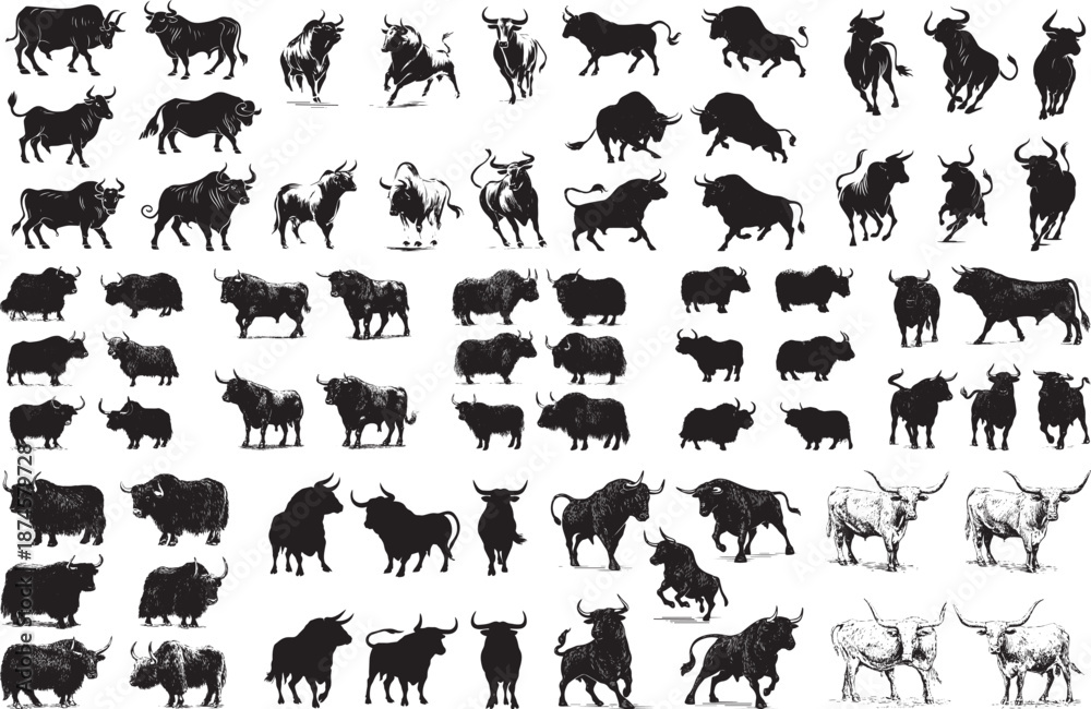 Fototapeta premium Diverse Collection of Bull, Ox, and Yak Silhouettes and Vector Illustrations in Black and White 