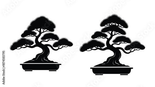 Two bonsai trees in pots presented as a striking black silhouette