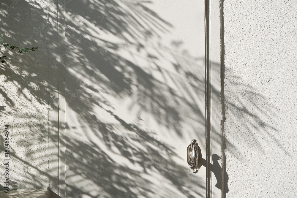 Naklejka premium white wall background with shadow overlay tropical leaves