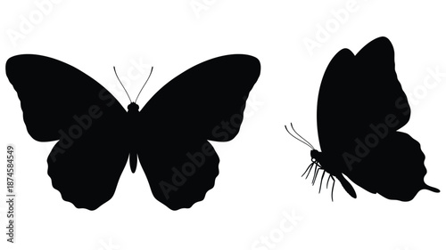 Two black butterflies in flight showcasing elegant wing patterns silhouette