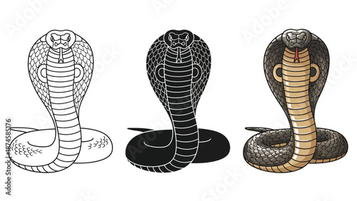 Set of three cobra snake illustrations outline drawing, silhouette and colored drawing
