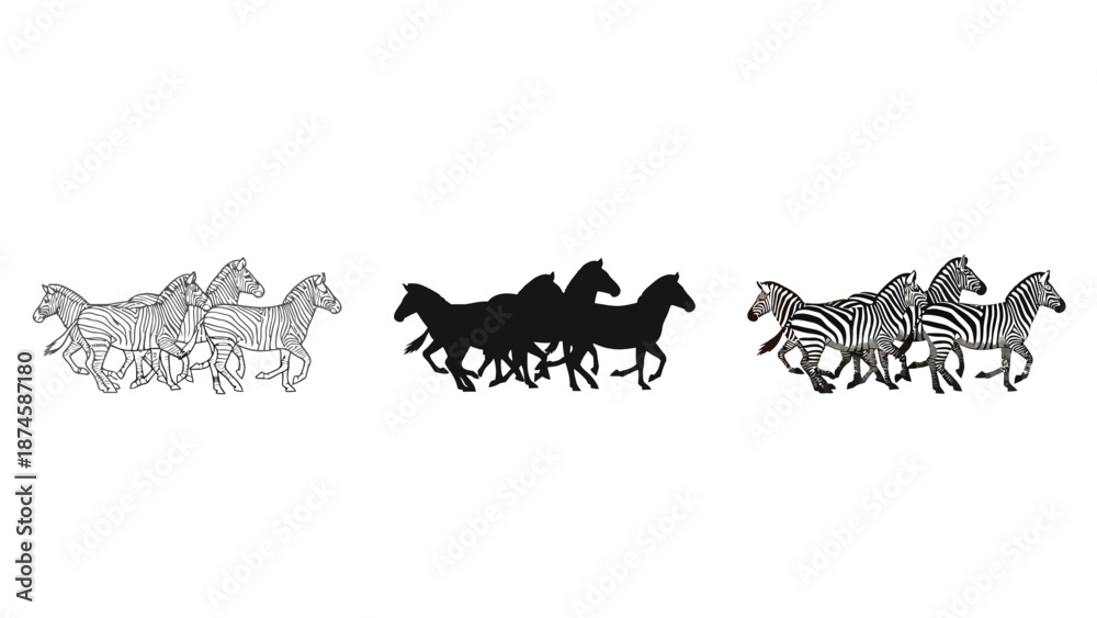 Fototapeta premium Set of three stylized running zebra illustrations detailed line art, solid black silhouette and realistic striped pattern