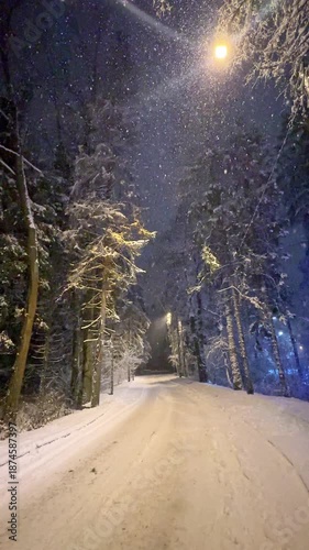 Snowy road or alley in night park during winter snowfall. Winter landscape. Trees and fir trees are covered with frost and snow under the light of a street lamp. Slow motion vertical footage
