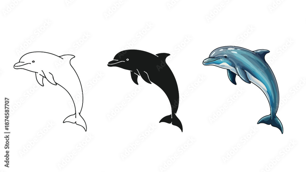 Fototapeta premium Set of three dolphin illustrations outline sketch, black silhouette and realistic color drawing