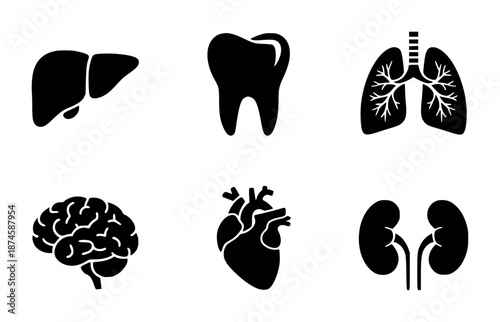 Set of black human organ liver tooth lungs brain heart kidneys white background body medical