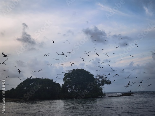 Naturaleza: santuario marino