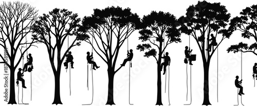 Tree climber silhouette illustration showing arborists working at height with ropes among forest trees, black outdoor figures representing tree care, safety, nature, and professional climbing concepts