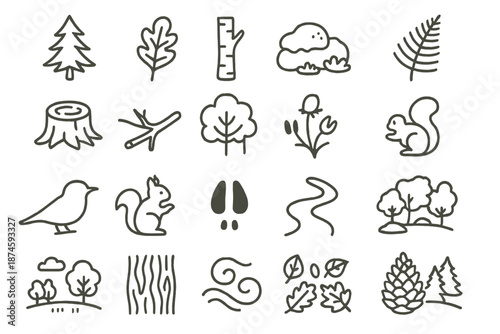 Forest Scene Icons. Line style icons of forest scenery: pine tree, oak leaf, birch trunk, moss stone, fern frond, tree stump,