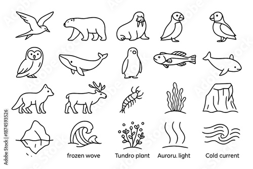 Arctic Wildlife Icons. Line style icons of Arctic Wildlife: arctic tern, polar bear, seal, walrus, puffin, snow owl, whale,