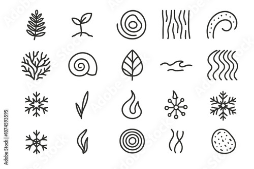 Organic Pattern Icons. Line style icons of Organic Patterns: fern leaf, seed sprout, water ripple, bark texture, moss curve, coral