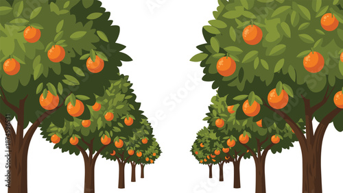 Expansive orange grove featuring neatly organized rows of vibrant green trees laden with ripe, juicy oranges under a clear sky.