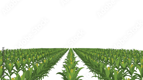 Expansive cornfield with endless rows of lush green corn stalks stretching far into the horizon under a clear sky, symbolizing agricultural abundance.