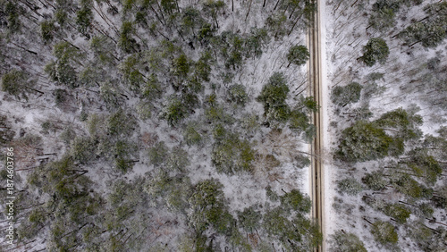 Aerial winter forest with dirt road in Nowy Lubiel, Poland