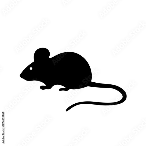 A single black mouse