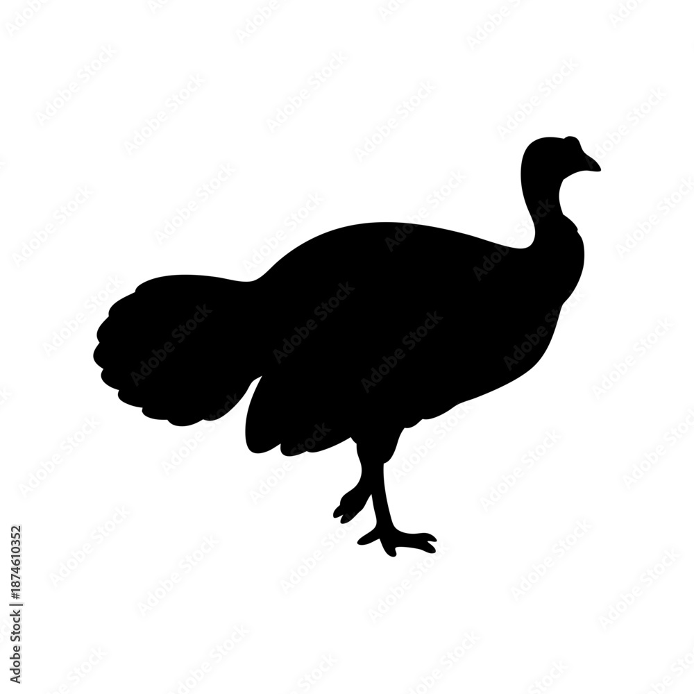 Fototapeta premium Silhouette of a bird