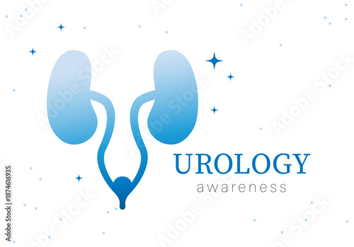Urology. Human kidney. Urine incontinence vector medical design
