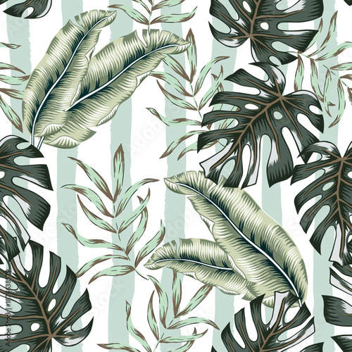 Tropical green banana, monstera palm leaves, striped background. Vector seamless pattern. Jungle foliage illustration. Exotic plants. Summer beach floral design. Paradise nature
