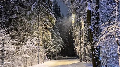 Snowy road or alley in night park during winter snowfall. Winter landscape. Trees and fir trees are covered with frost and snow under the light of a street lamp. Slow motion footage