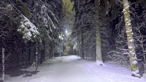 Snowy road or alley in night park during winter snowfall. Winter landscape. Trees and fir trees are covered with frost and snow under the light of a street lamp. Slow motion footage