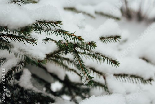 Canvas Print Christmas tree
