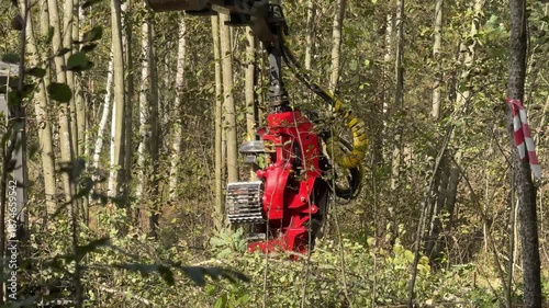 Wallpaper Mural Forestry Harvester Cutting Trees in Woodland, Sustainable Logging Industry Torontodigital.ca