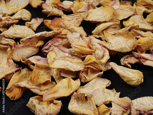 Dried pale cream color rose petals lie on a black background, top view