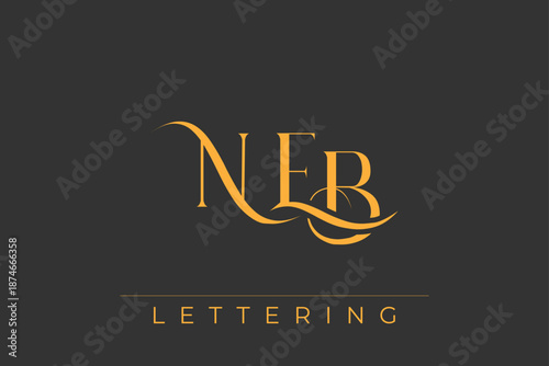 NEB Elegant Monogram Logo Design With Decorative Lettering