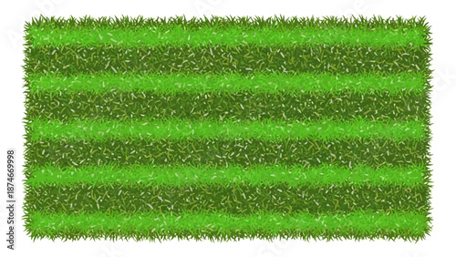 Lush green lawn with mowed stripes in realistic texture top view