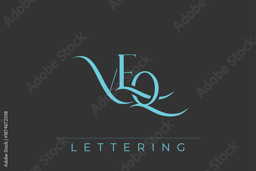 VEQ Elegant Monogram Logo Design With Decorative Lettering