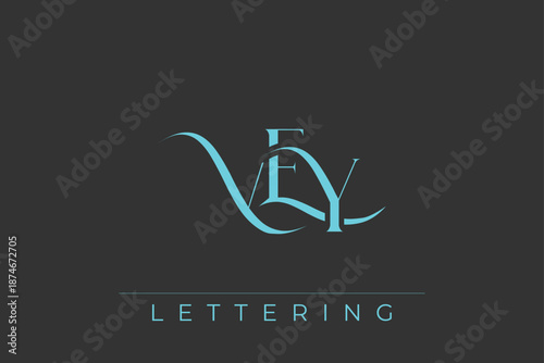VEY Elegant Monogram Logo Design With Decorative Lettering