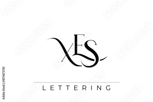 XES Elegant Monogram Logo Design With Decorative Lettering