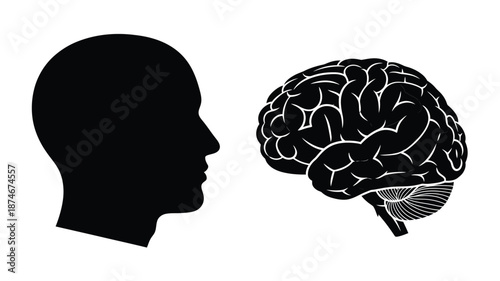 Human head profile alongside a brain illustration a striking silhouette
