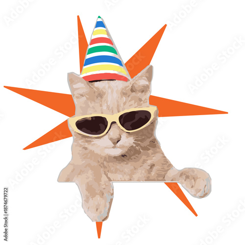 Birthday Cats Meme Characters Vector