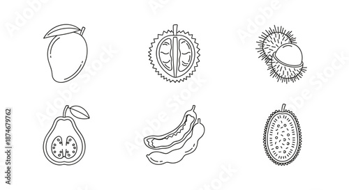 Set of simple vector line icons representing various exotic fruits, including a whole mango, a halved durian, rambutan, a halved guava, tamarind pods, and a whole spiky fruit, perfect for web design
