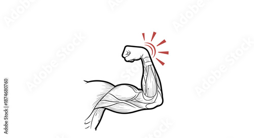 Anatomical illustration of a flexed arm showcasing detailed muscle structure, with red radiating circles indicating pain or discomfort in the bicep area, symbolizing muscular pain, injury, or strain