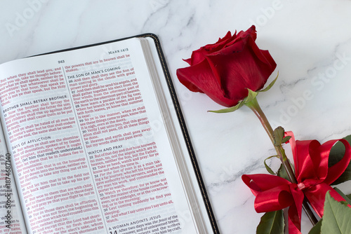 Εκτύπωση καμβά Holy bible book with red rose