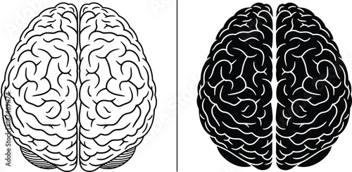 Black and white human brain illustration set showing detailed cerebral hemispheres, medical anatomy concept, clean outline and solid silhouette vector artwork for education and healthcare design